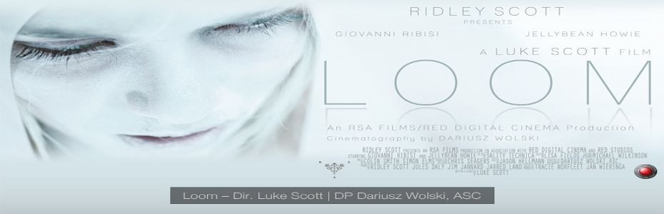 Loom_Luke Scott